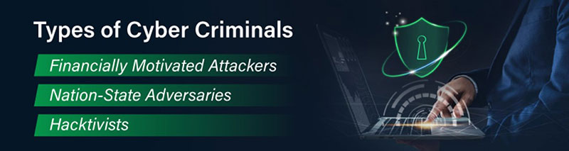 Types of Cyber Criminals